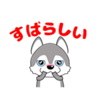 優しい大人の気づかいシベリアンハスキー（個別スタンプ：25）