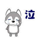 優しい大人の気づかいシベリアンハスキー（個別スタンプ：34）