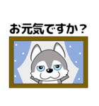 優しい大人の気づかいシベリアンハスキー（個別スタンプ：36）