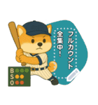 番外編：球児コタロウメッセージスタンプ（個別スタンプ：1）