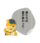 番外編：球児コタロウメッセージスタンプ（個別スタンプ：15）