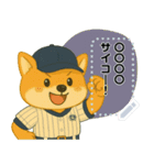 番外編：球児コタロウメッセージスタンプ（個別スタンプ：24）