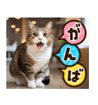 ねこ写真❤ポップで見やすい日常会話3（個別スタンプ：21）
