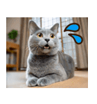 ねこ写真❤ポップで見やすい日常会話3（個別スタンプ：31）