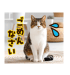 ねこ写真❤ポップで見やすい日常会話3（個別スタンプ：32）