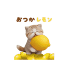 動く！可愛いダジャレ猫 ずっと使える 日常（個別スタンプ：11）