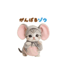 動く！可愛いダジャレ猫 ずっと使える 日常（個別スタンプ：21）