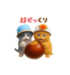 動く！可愛いダジャレ猫 ずっと使える 日常（個別スタンプ：22）