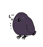 トビネズミとカラスのゴミの日確認スタンプ（個別スタンプ：19）