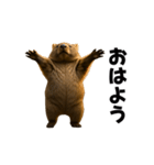 動く！ウォンバット（個別スタンプ：2）