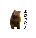 動く！ウォンバット（個別スタンプ：7）