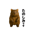 動く！ウォンバット（個別スタンプ：9）