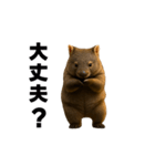 動く！ウォンバット（個別スタンプ：13）