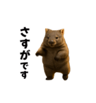 動く！ウォンバット（個別スタンプ：15）
