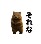 動く！ウォンバット（個別スタンプ：20）