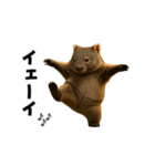 動く！ウォンバット（個別スタンプ：23）