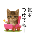 応援する猫さん✳︎デカ文字で伝わりやすい（個別スタンプ：8）