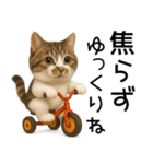 応援する猫さん✳︎デカ文字で伝わりやすい（個別スタンプ：10）