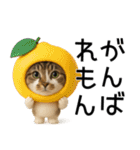 応援する猫さん✳︎デカ文字で伝わりやすい（個別スタンプ：11）