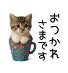応援する猫さん✳︎デカ文字で伝わりやすい（個別スタンプ：17）
