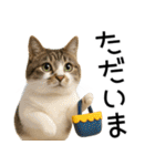 応援する猫さん✳︎デカ文字で伝わりやすい（個別スタンプ：18）