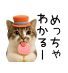 応援する猫さん✳︎デカ文字で伝わりやすい（個別スタンプ：24）