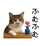 応援する猫さん✳︎デカ文字で伝わりやすい（個別スタンプ：25）