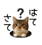 応援する猫さん✳︎デカ文字で伝わりやすい（個別スタンプ：26）