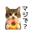 応援する猫さん✳︎デカ文字で伝わりやすい（個別スタンプ：30）