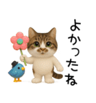 応援する猫さん✳︎デカ文字で伝わりやすい（個別スタンプ：31）