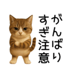 応援する猫さん✳︎デカ文字で伝わりやすい（個別スタンプ：32）