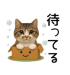 応援する猫さん✳︎デカ文字で伝わりやすい（個別スタンプ：35）