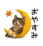 応援する猫さん✳︎デカ文字で伝わりやすい（個別スタンプ：40）
