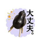 お盆に使えるスタンプEX精霊馬（個別スタンプ：5）