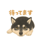 みんなの大切なペットたち（個別スタンプ：3）