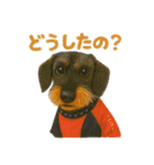 みんなの大切なペットたち（個別スタンプ：5）