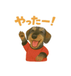 みんなの大切なペットたち（個別スタンプ：8）