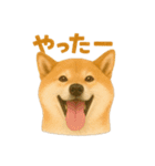 みんなの大切なペットたち（個別スタンプ：11）