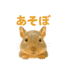 みんなの大切なペットたち（個別スタンプ：17）