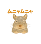 みんなの大切なペットたち（個別スタンプ：20）