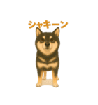 みんなの大切なペットたち（個別スタンプ：22）