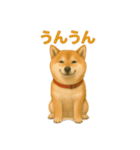 みんなの大切なペットたち（個別スタンプ：25）