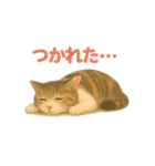 みんなの大切なペットたち（個別スタンプ：29）