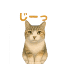 みんなの大切なペットたち（個別スタンプ：30）