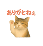 みんなの大切なペットたち（個別スタンプ：32）