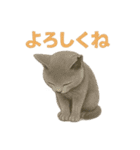みんなの大切なペットたち（個別スタンプ：33）