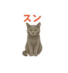 みんなの大切なペットたち（個別スタンプ：34）
