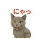 みんなの大切なペットたち（個別スタンプ：35）