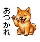 柴犬のドットスタンプ☆日常（個別スタンプ：1）