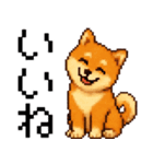柴犬のドットスタンプ☆日常（個別スタンプ：2）